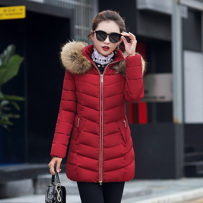 Parka acolchada entallada con capucha – foto 11